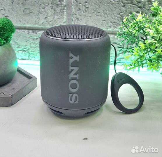 П. 11226 Колонка Sony Srs XB 10