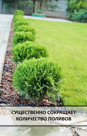 Кора лиственницы