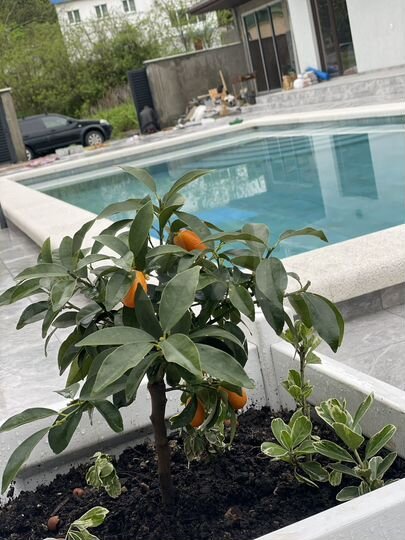 Комната 20 м², 2/3 эт.