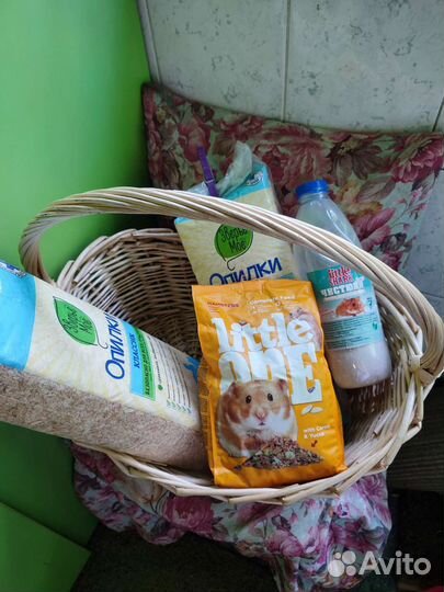 Корм опилки песок для грызунов