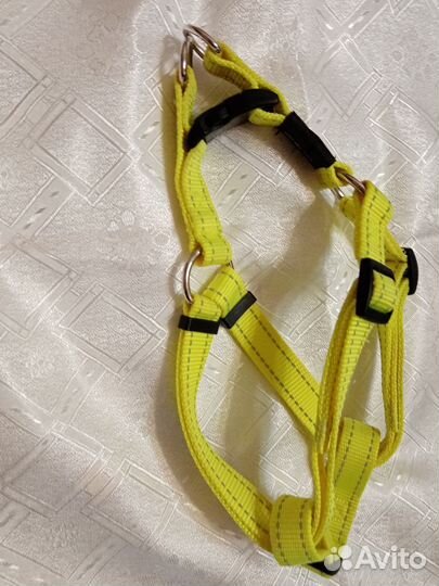 Шлейка для собаки