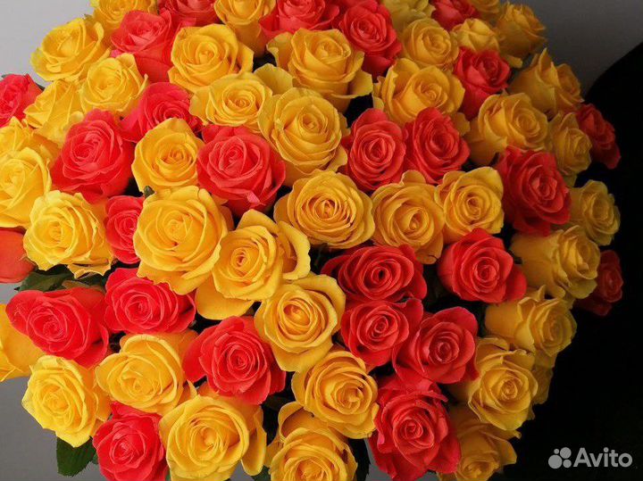 Букеты из 101 розы с доставкой по Новосибирску