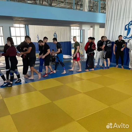 Секция по дзюдо и бразильскому джиу-джитсу