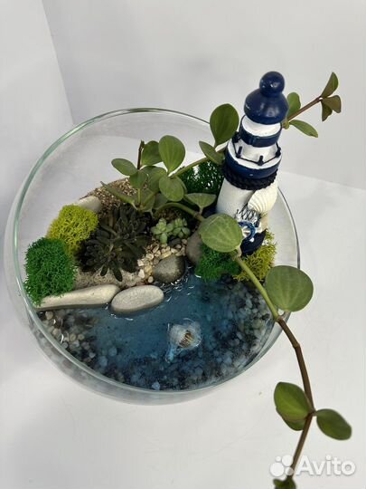Флорариум с водоемом+подарочная упаковка