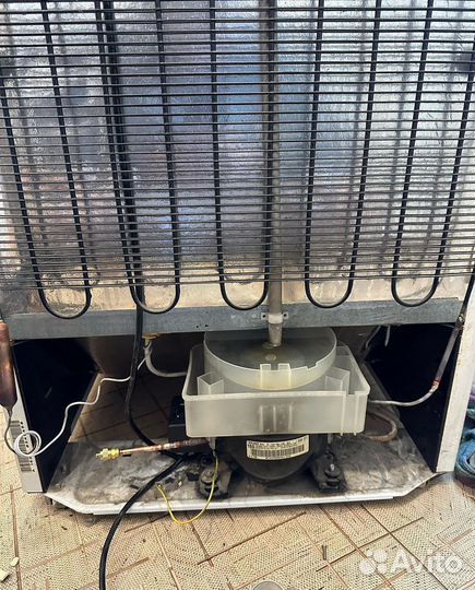 Ремонт холодильников Ремонт посудомоечных машин