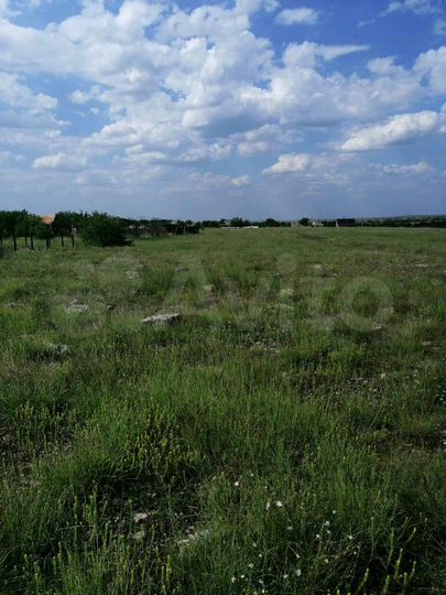 Участок 12 сот. (СНТ, ДНП)