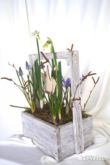 Весення композиция луковичных в ящике