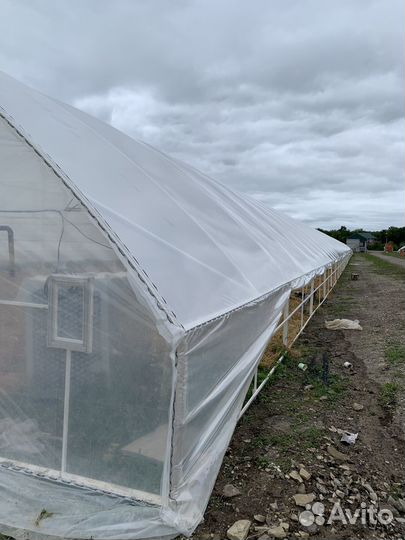 Тепличная пленка (Турция)