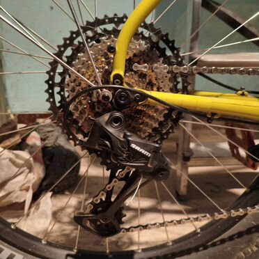 Shulz Mom's Favorite