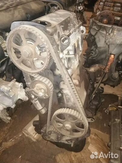 Двигатель ADP Audi A4, 1.6