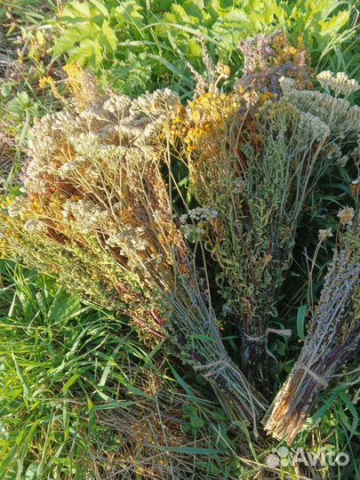 Травяные веники, запарки для бани