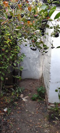 Дача 38 м² на участке 12 сот.