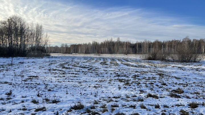 Участок 15,9 сот. (ИЖС)