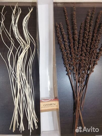 Сухоцветы