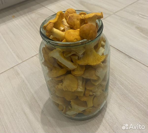 Грибы лисички свежие