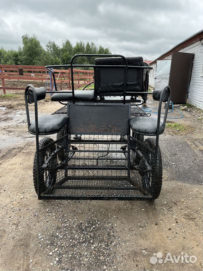 Драйвинг экипаж для лошади