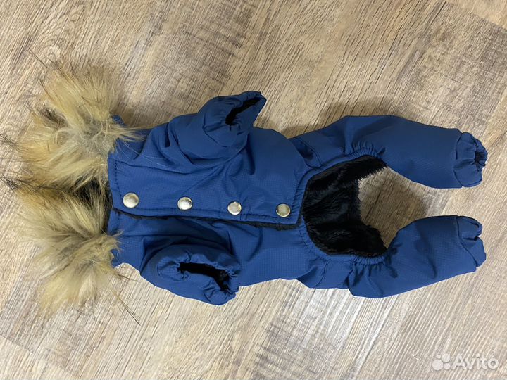 Костюм зимний для собаки