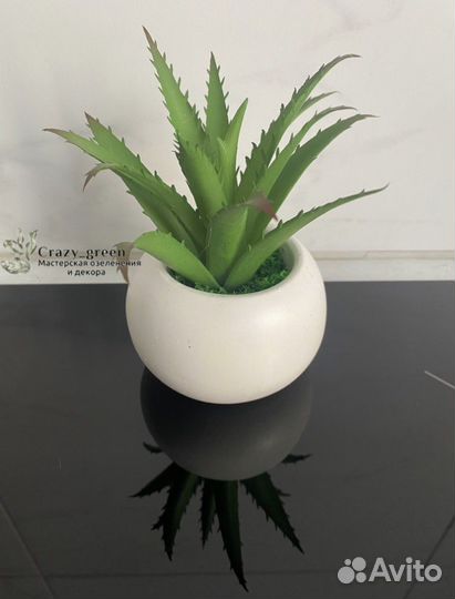 Кактусы и суккуленты искусственные