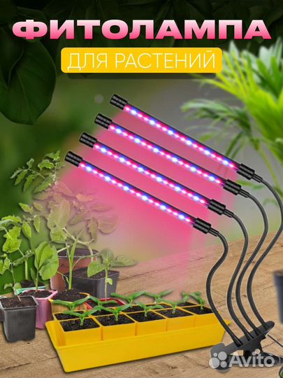 Фитолампа