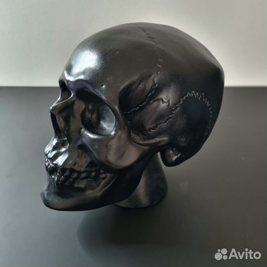 Гипсовый череп