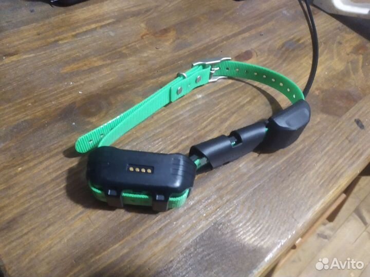 ошейник тт. ошейник tt15. гармин альфа 100 с ошейником тт 15. ошейник garmin t5 collar rus. Garmin tt15 eu.