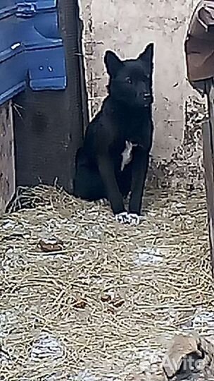 Подросток девочка