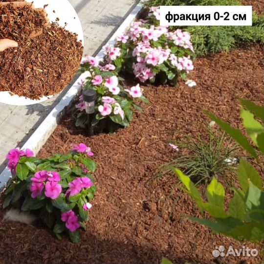 Кора лиственницы