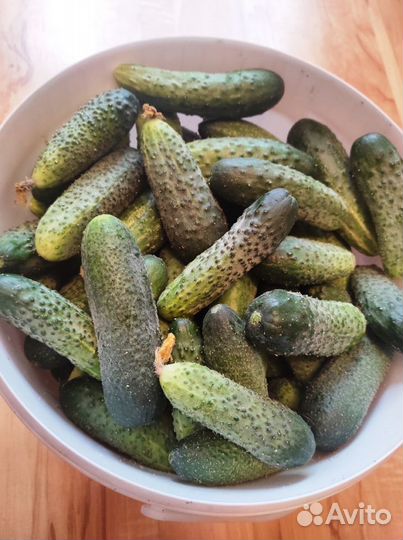 Огурцы свежие домашние