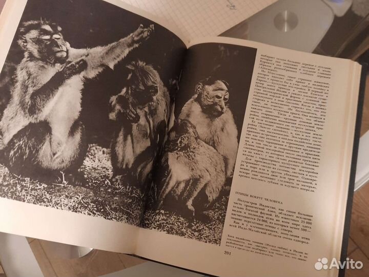 Энциклопедия СССР