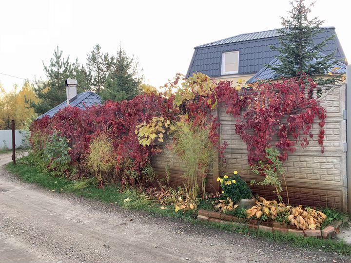 Дача 78,5 м² на участке 4,3 сот.