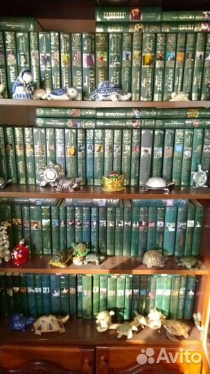 Книги библиотека 250 шт