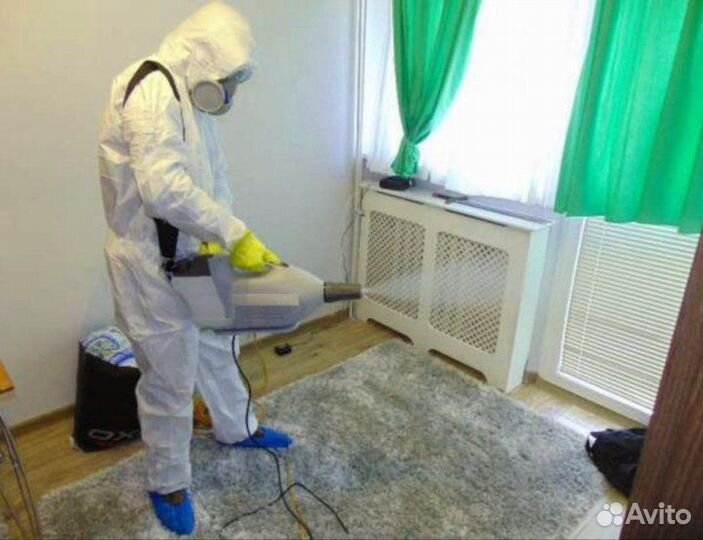 Уничтожение тараканов клопов блох муравьев плесени
