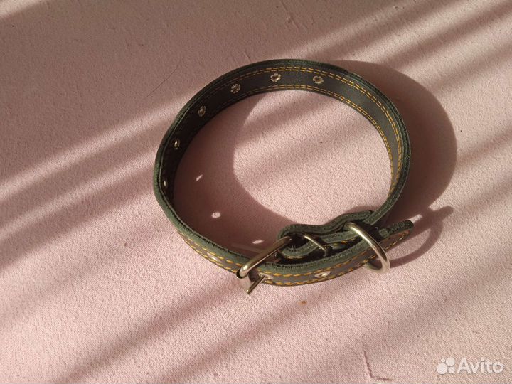 Ошейник для собак