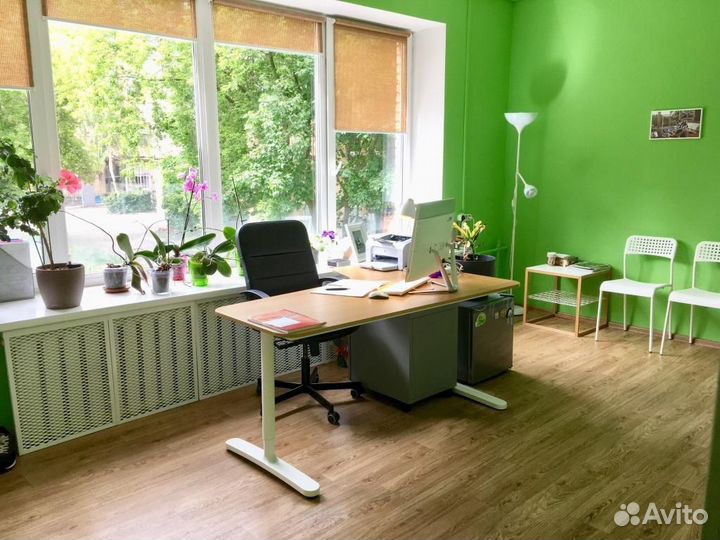 Помощник руководителя