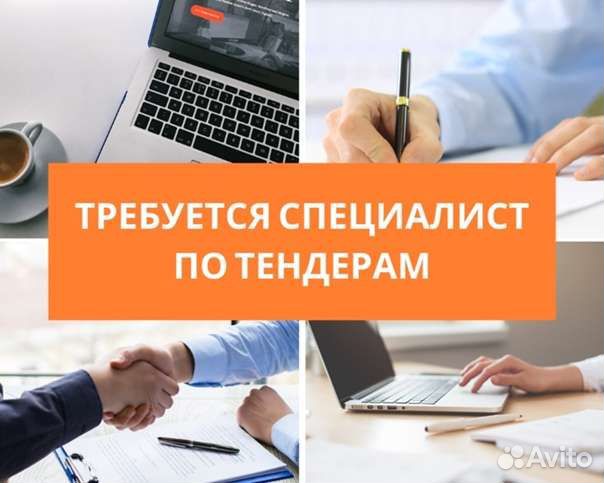 Тендерный специалист полный день
