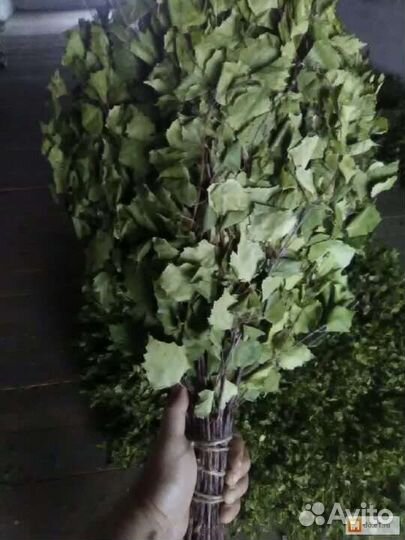 Березовые веники