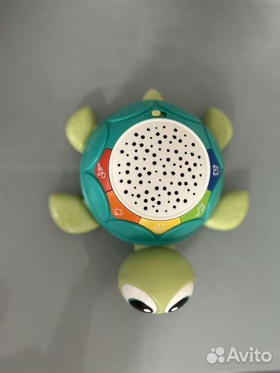 Ползающая черепаха