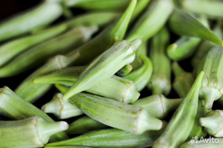 Бамия «Yalova Akköy 41» («Султани») 15 семян