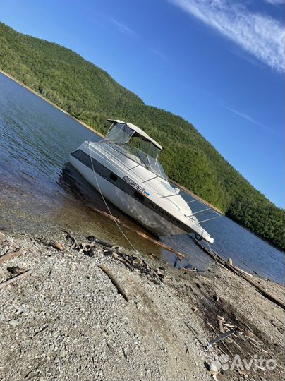 Катер maxum scr2400