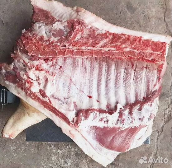 Мясо домашнее Свинина