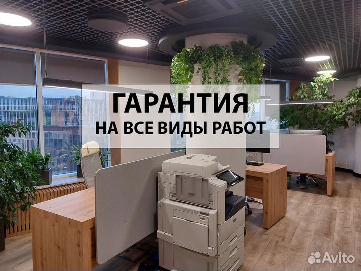 Озеленение офисов