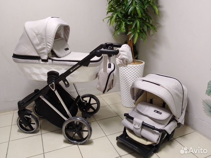 Коляска Adamex Paolo