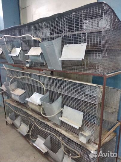 Клетка для животных бу