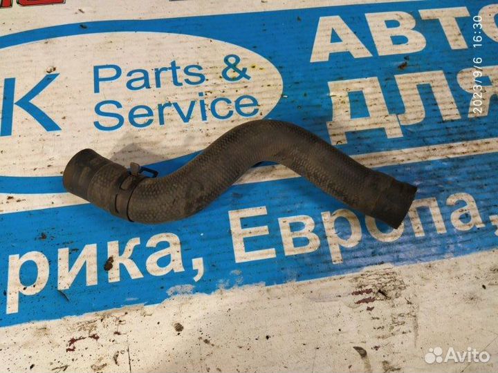 Патрубок системы охлажд. Nissan Primera P12 01-08