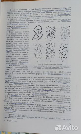 М. Н. Лебедева «Микробиология»