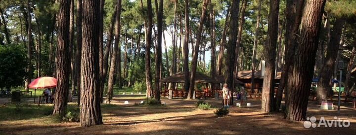 Отдых в Абхазии(Пицунда,Лидзава) комнаты посуточно