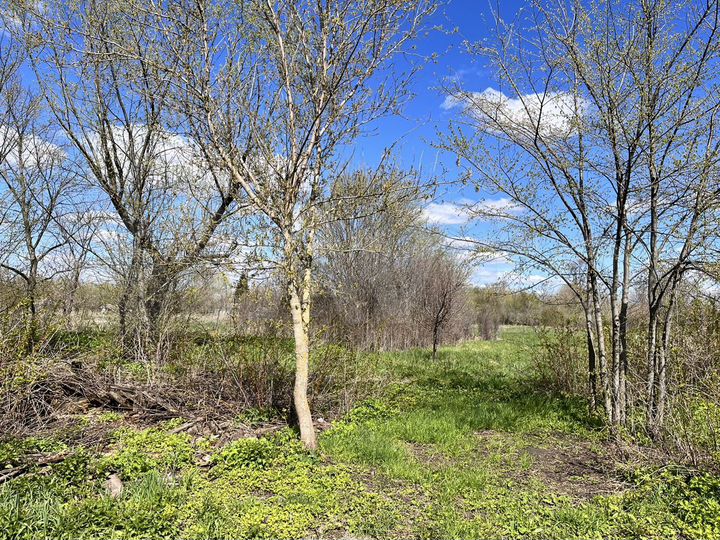 Участок 30 сот. (ИЖС)