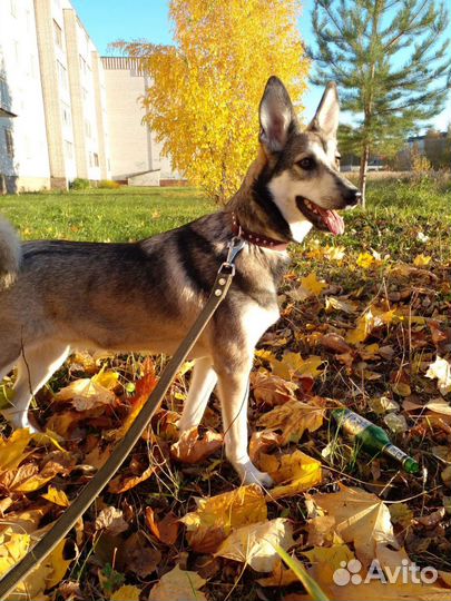 Чудесная Мерси 11 месяцев