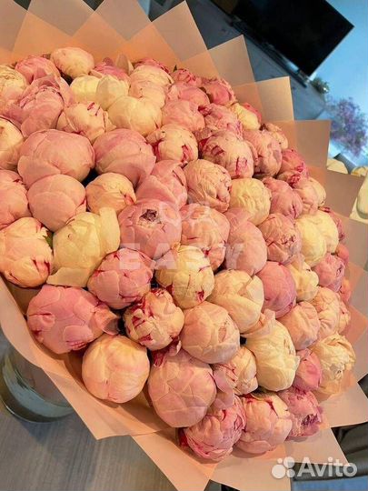 Букет розы 101 51 пионы круглосуточно 24 7