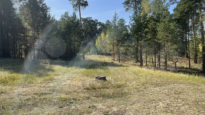 Участок 17 сот. (СНТ, ДНП)